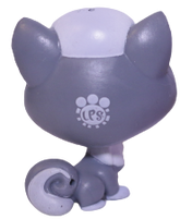 #124 Kitten "Cloudy Coalson"